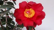 20190315_095227.webp
