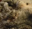26383D18-AD1C-48A4-B776-C07BFFCCF809.webp