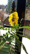 20190317_105727.webp
