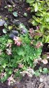 20190317_105611.webp