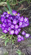 20190317_105438.webp