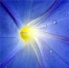 Licht des Himmels.webp