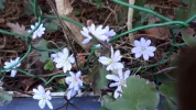 20190317_140256.webp