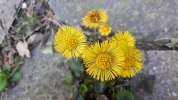 20190322_133352(0).webp