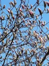 20190322_153011.webp