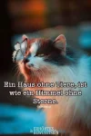 FB_IMG_1553189325602.webp