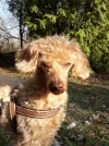 20190323_162309.webp