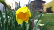 20190324_144430.webp