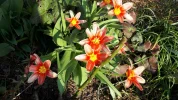 20190324_144334.webp