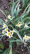 20190324_144317.webp