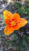 20190324_142939.webp