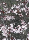 20190324_153120.webp