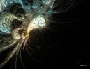 FABERGE 110319_7c.webp
