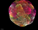FABERGE 110319_10c.webp