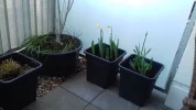 20190325_105944.webp