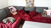 20190325_142114.webp