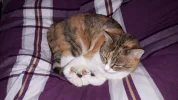20190325_144917.webp