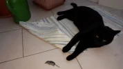 20190213_074911.webp