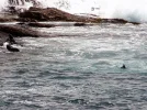v meer südafrika.webp
