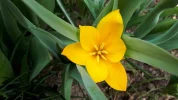 20190328_121052.webp