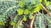 20190328_120530.webp