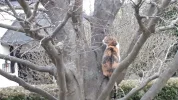 20190328_165603.webp
