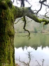 P1060728c1.webp