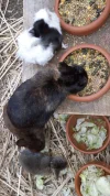 20190329_081616.webp
