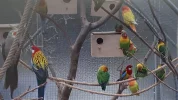 20190329_081810.webp