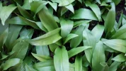 20190330_174524.webp