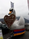 20190327_114858.webp