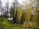 P3310732 (2).webp