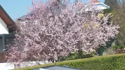20190331_133308_001.webp
