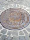20190330_094526.webp