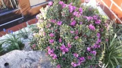 20190331_180554.webp