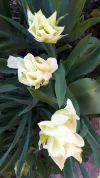 20190331_180520.webp