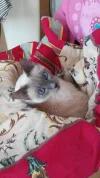 20180526_110425.webp