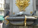 Taube 4c.webp