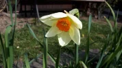 20190402_104602.webp