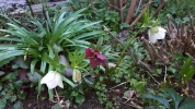 20190402_104456.webp
