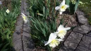 20190402_104428.webp