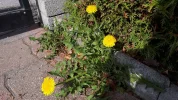 20190402_104255-3456x1944.webp