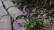 20190402_104412-3456x1944.webp