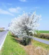 4B55BB8B-457D-4847-B913-A3043307993B.webp