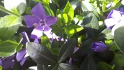 20190405_115432.webp