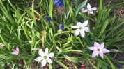 20190405_115209.webp