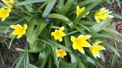 20190405_150820.webp
