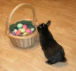 Ostern05A-1.webp