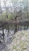 20190406_152329.webp