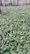 20190406_161114.webp